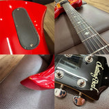 USED_​​Chatting_Bird_Mocking_Bird_Type［SN_-］_10