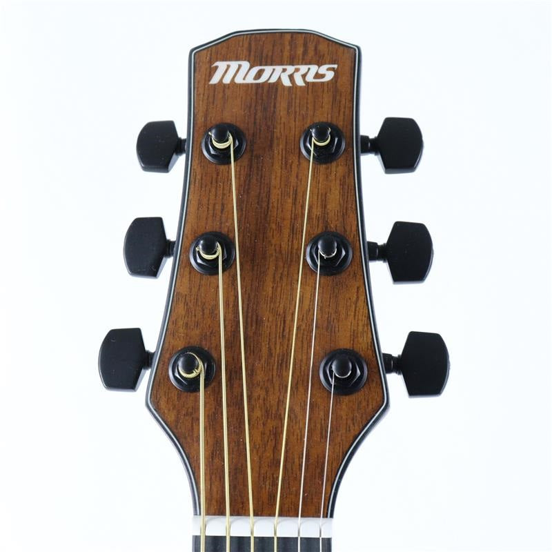 USED_​​F-021_VS_Morris_03