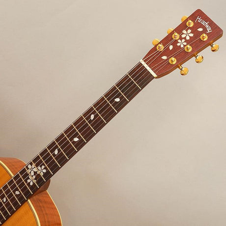 USED_​​HB-SAKURA_Headway_08
