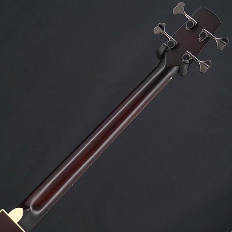USED_​​IKB-1_CTM_Fretted_(NAT)_06