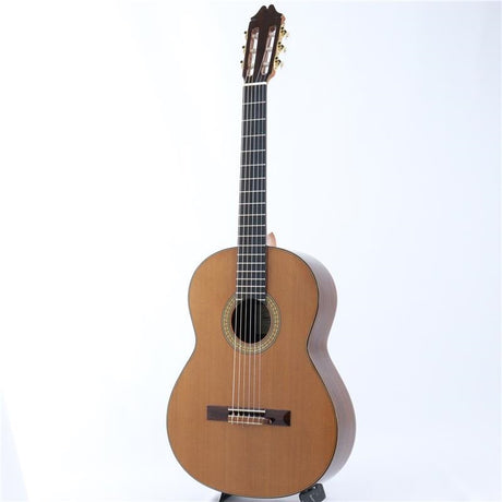 USED_​​Profesor_Sugi_Juan_Hernandez_03