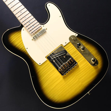 USED_​​Richie_Kotzen_Telecaster_(Brown_Sunburst)_01