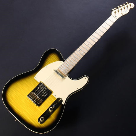 USED_​​Richie_Kotzen_Telecaster_(Brown_Sunburst)_02