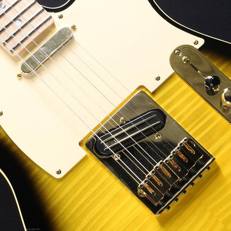 USED_​​Richie_Kotzen_Telecaster_(Brown_Sunburst)_04