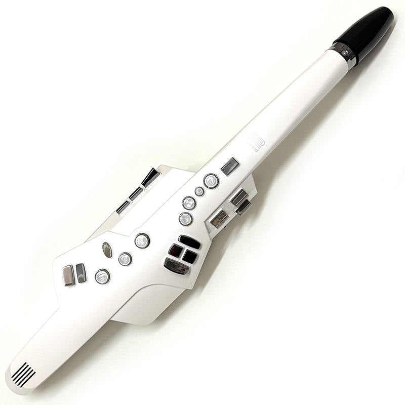 USED_​​Roland_Aerophone_AE-10_01