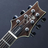USED_​​SE_Hollowbody_Standard_(Fire_Red_Burst)_05