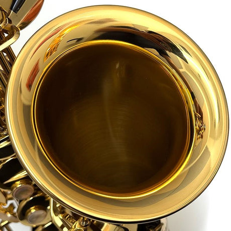 USED_​​Selmer_Alto_Saxophone_SERIE_III_Jubilee_GL_S_N_734xx8_[Shipped_after_adjustment_&_setup]_[5_years_of_free_key_balance_adjustment]_06