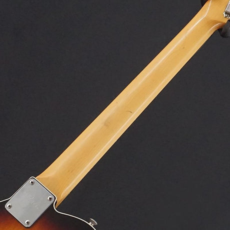 USED_​​TL_Type_(3_Tone_Sunburst)_Provision_06