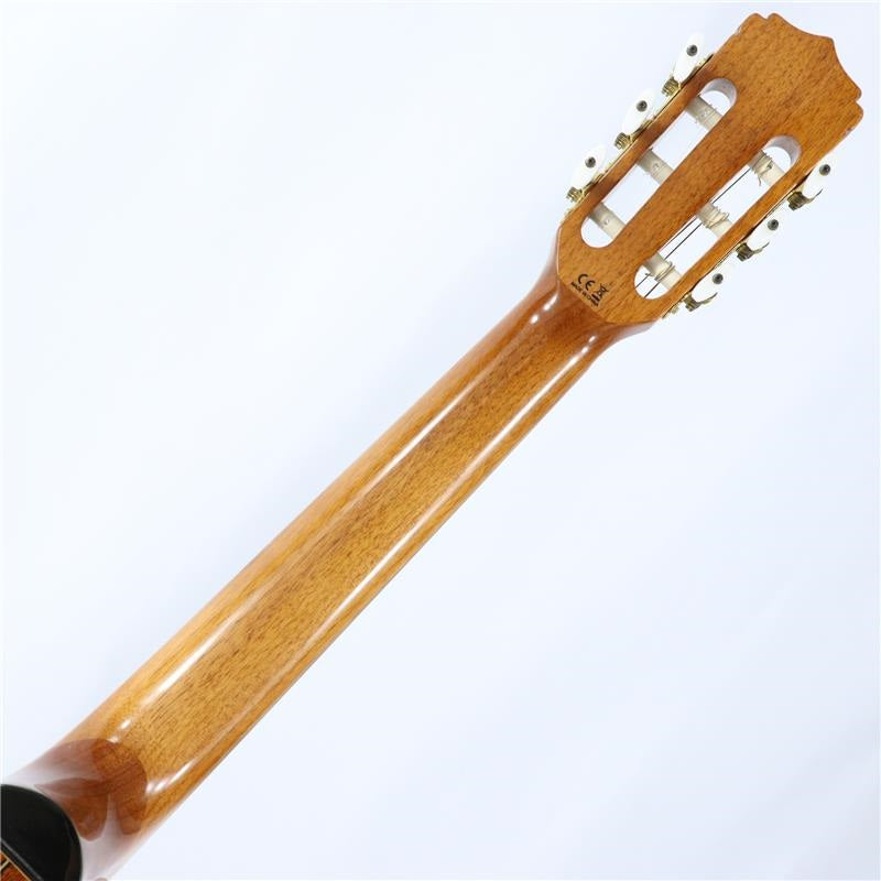 USED_​​Used_A-35CE_Aria_08