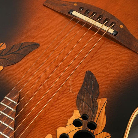 Used_1868_Elite_Ovation_11