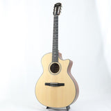 Used_314ce-Nylon__2022_Taylor_02