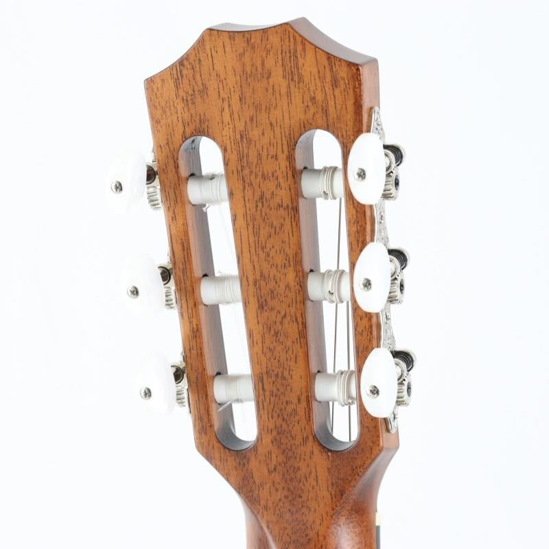 Used_314ce-Nylon__2022_Taylor_06