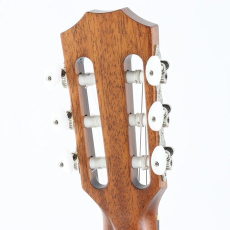 Used_314ce-Nylon__2022_Taylor_06