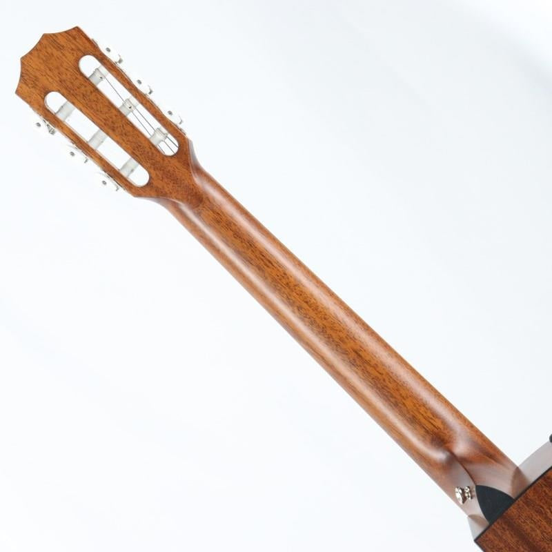 Used_314ce-Nylon__2022_Taylor_08