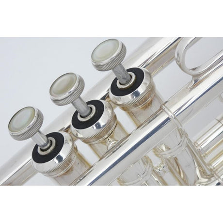 Used_Bach_C180L239_25M_SP_(modified)_#702__2_[C_Trumpet]_08