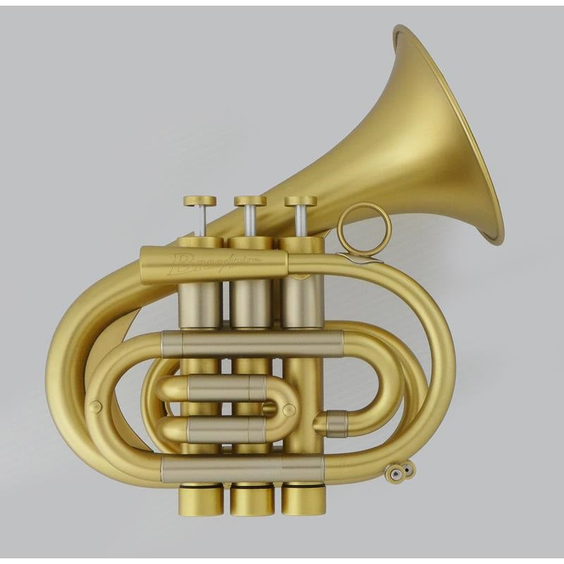 Used_Brasspire_P7_MGL_#04__Bb_Pocket_Trumpet_(Pre-tuned_for_peace_of_mind)_01