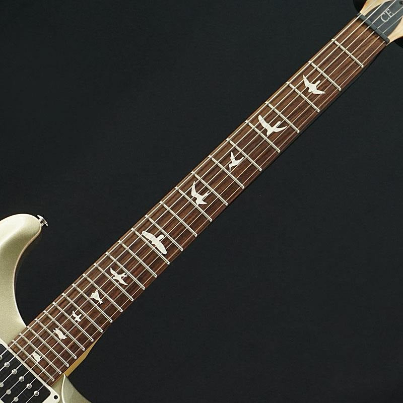 Used_CE_24_(Champagne_Gold_Metallic)_[SN_247323]_05