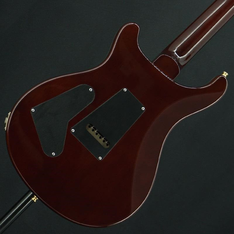 Used_Custom24_10-Top_Bird_(Turtoise_Shell)_[SN_7_30406]_Paul_Reed_Smith_02