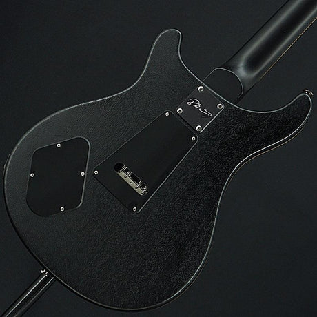 Used_Dustie_Waring_CE_24_Floyd_Limited_Edition_(Gray_Black_Satin)_[SN_259107]_Paul_Reed_Smith_02