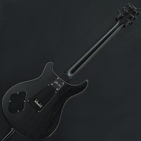 Used_Dustie_Waring_CE_24_Floyd_Limited_Edition_(Gray_Black_Satin)_[SN_259107]_Paul_Reed_Smith_04