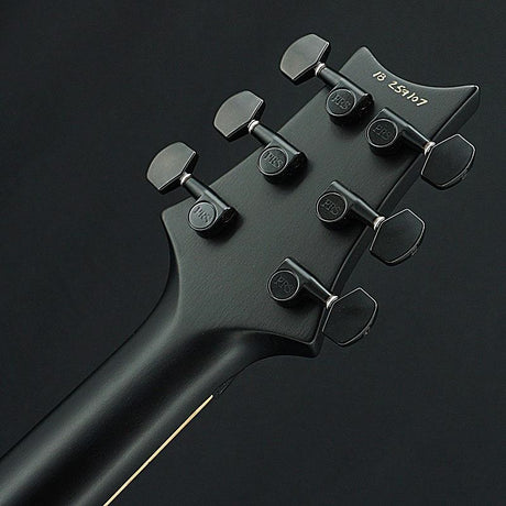 Used_Dustie_Waring_CE_24_Floyd_Limited_Edition_(Gray_Black_Satin)_[SN_259107]_Paul_Reed_Smith_08