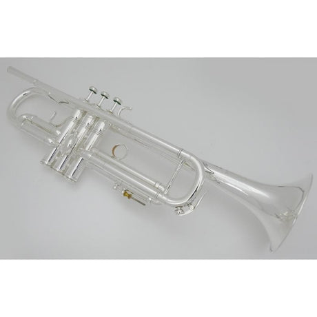 Used_E-BENGE_Claude_Gordon_Model_SP_#234__0_Bb_Trumpet_02