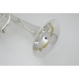 Used_E-BENGE_Claude_Gordon_Model_SP_#234__0_Bb_Trumpet_09