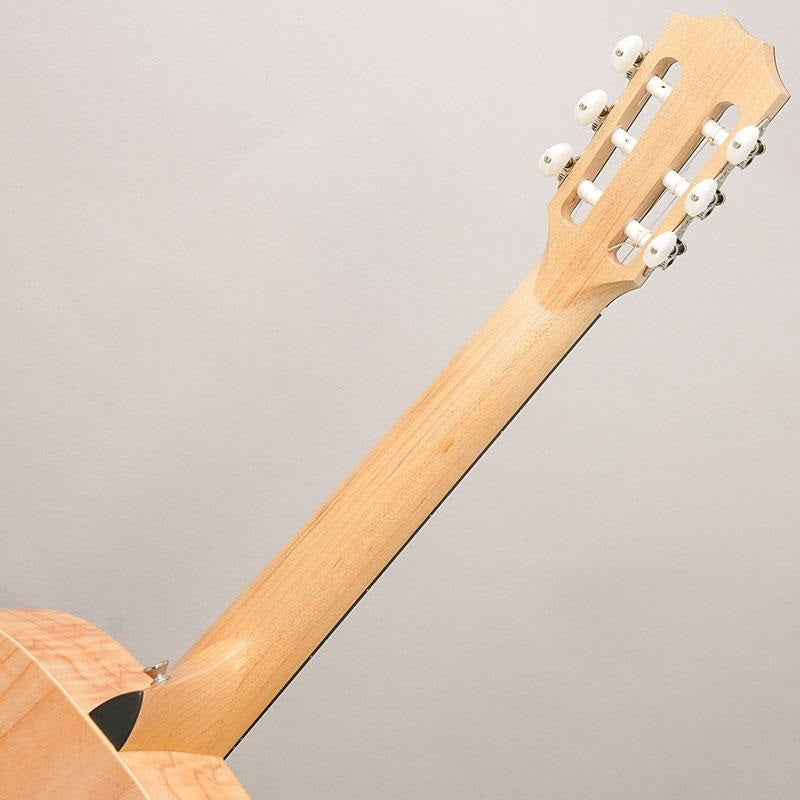 Used_EG-12E-N_LTD_'22_Taylor_10