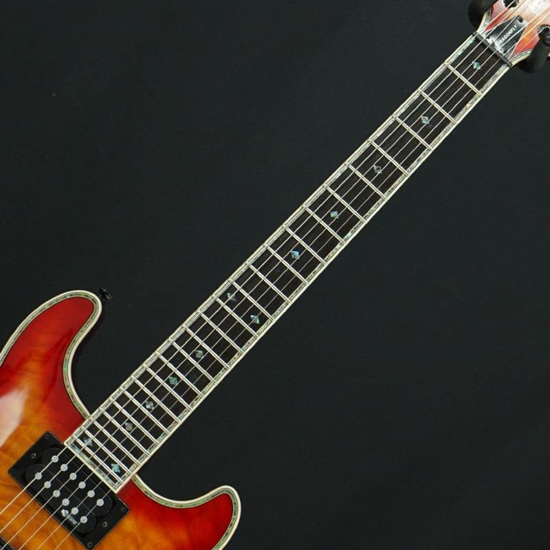 Used Fernandez/Bernie Dragonfly Elite (See-Thru Black Cherry) [SN
