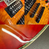 Used_Fernandez_Bernie_Dragonfly_Elite_(See-Thru_Black_Cherry)_[SN_FSG0800474]_09