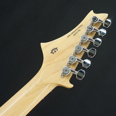 Used_G-Life_Guitars_DSG_Life-Ash_(Royal_Blue_Turquoise)_[SN_0298]_08