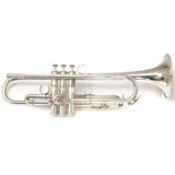 Used_Haagston_500S_#36__7_Bb_Trumpet_02