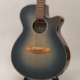 Used_Ibanez_AEG50-IBH_01