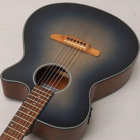 Used_Ibanez_AEG50-IBH_05