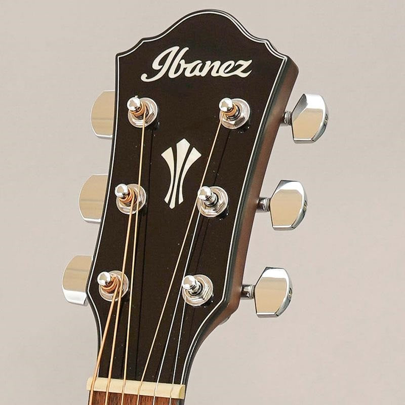 Used_Ibanez_AEG50-IBH_07