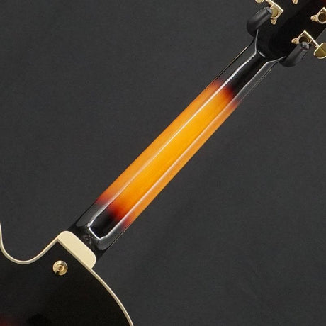 Used_Ibanez_AF95_(Brown_Sunburst)_[SN_PW21020557]_06