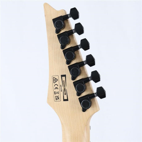 Used_Ibanez_RGV250_(Black)_[SN_GS241200150]_06
