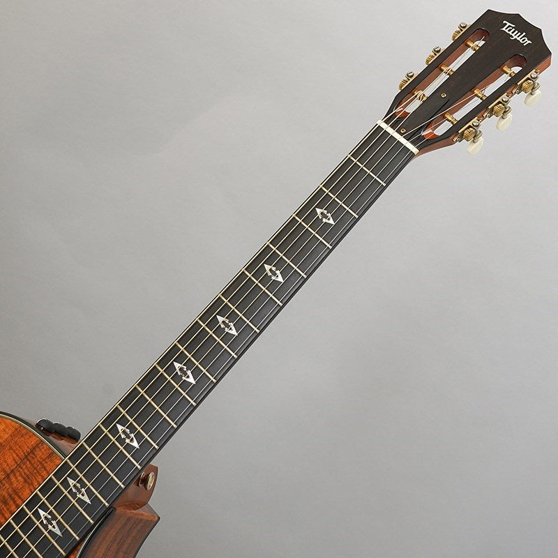 Used_K22ce_Japan_LTD_'16_[Excellent_Condition]_Taylor_09