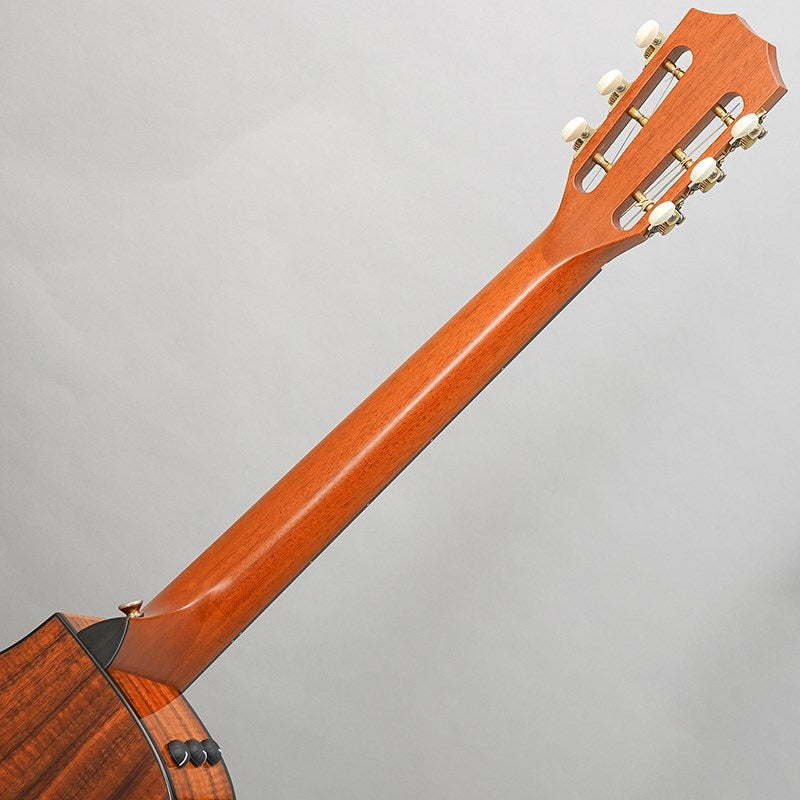 Used_K22ce_Japan_LTD_'16_[Excellent_Condition]_Taylor_10