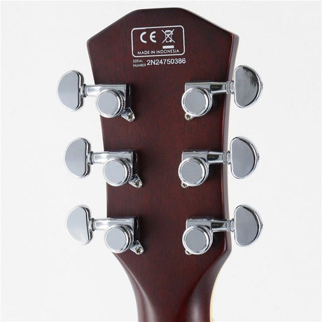 Used_Larry_Carlton_L7_GT_[SN_2N24750386]_Sire_06