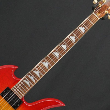 Used_MG-85X_(Cherry)_[SN_-]_Fernandes_Bernie_05