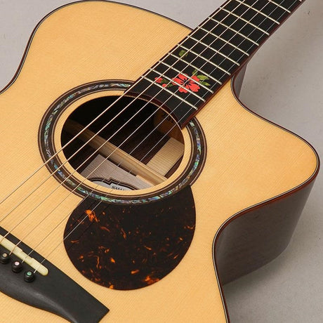 Used_Naga_Guitars_SSJW-26MK_07