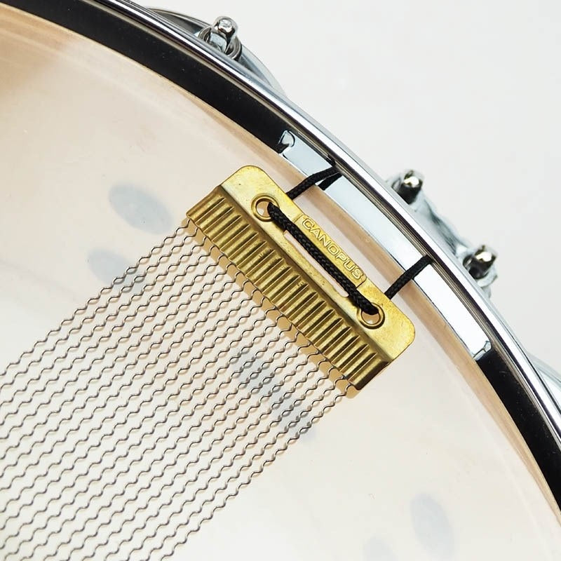 Used_PL-1406SDWD_NUB_[PROLITE_Series_Maple_14x6_SONOR_Die-Cast_Hoop___Nussbaum]_09