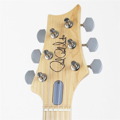 Used_Paul_Reed_Smith_Silver_Sky_(Frost_Maple)_[SN_O336477]_05