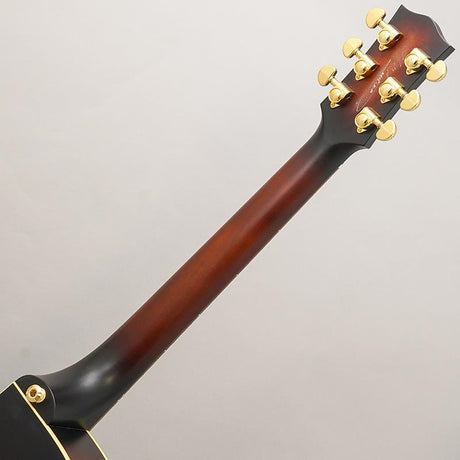 Used_Performer_2023_LTD_Maton_09