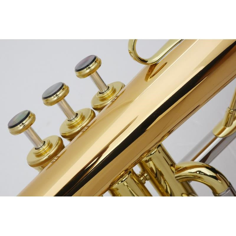 Used_Queen_Brass_CL_#142__2_Bb_Flugelhorn_04