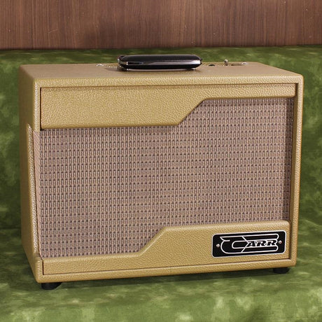 Used_Raleigh_1x10_Combo_[Cocoa_Tolex]_01