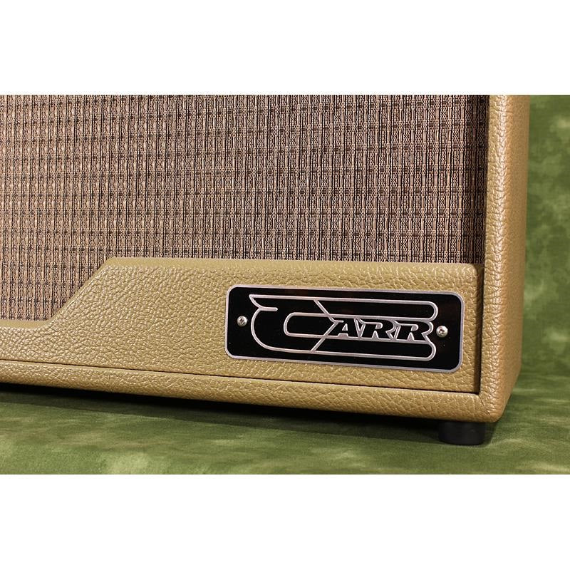 Used_Raleigh_1x10_Combo_[Cocoa_Tolex]_03