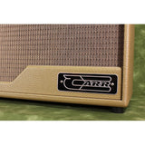 Used_Raleigh_1x10_Combo_[Cocoa_Tolex]_03