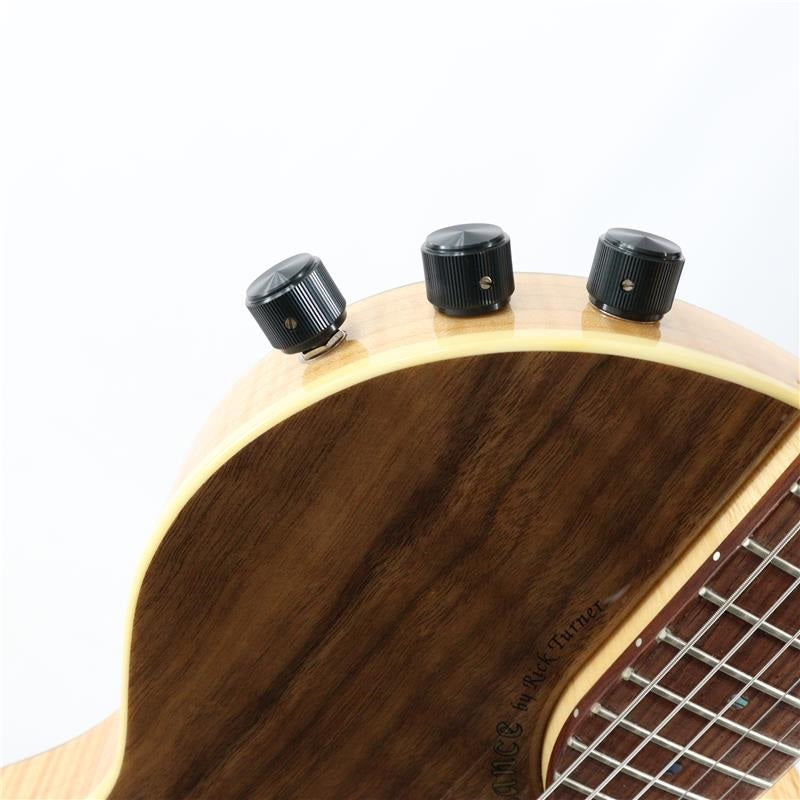 Used_Rick_Tuner_Guitars_Renaissance_Deuce_Standard_11